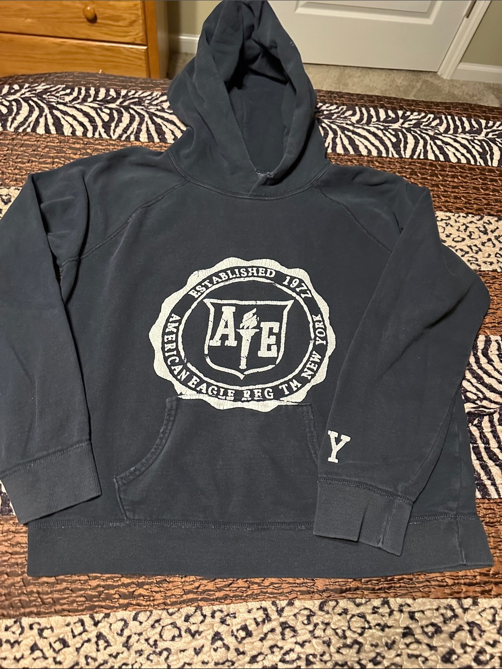 American Eagle Outfitters Black Pullover Hoodie with White Crest Graphic